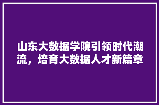 山东大数据学院引领时代潮流，培育大数据人才新篇章
