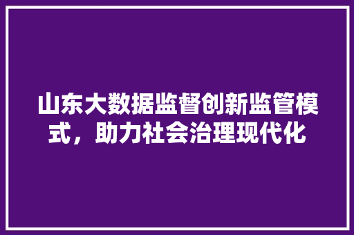 山东大数据监督创新监管模式，助力社会治理现代化