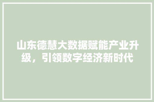 山东德慧大数据赋能产业升级，引领数字经济新时代