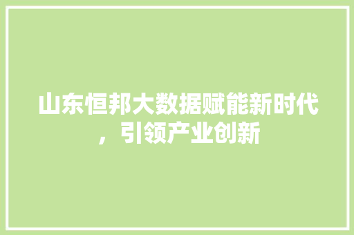 山东恒邦大数据赋能新时代，引领产业创新