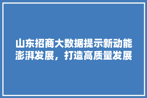山东招商大数据提示新动能澎湃发展，打造高质量发展新引擎