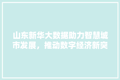 山东新华大数据助力智慧城市发展，推动数字经济新突破