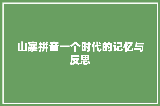 山寨拼音一个时代的记忆与反思