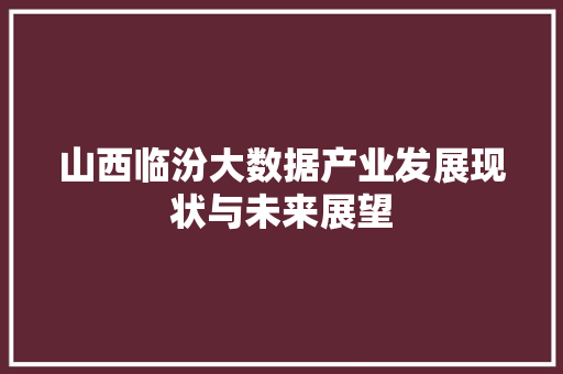山西临汾大数据产业发展现状与未来展望
