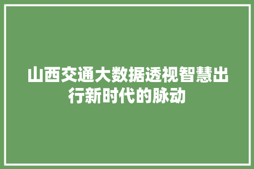 山西交通大数据透视智慧出行新时代的脉动