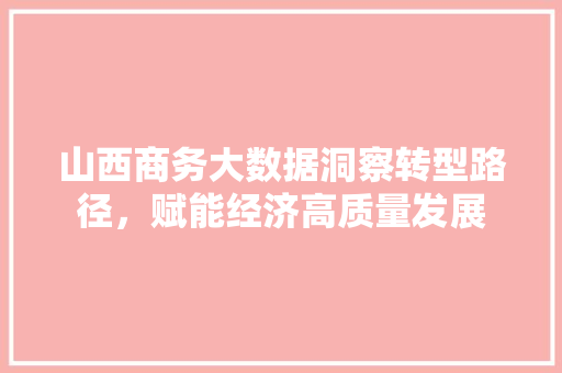 山西商务大数据洞察转型路径，赋能经济高质量发展