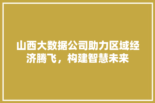 山西大数据公司助力区域经济腾飞，构建智慧未来