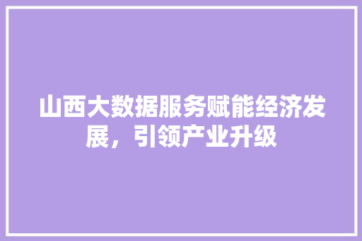 山西大数据服务赋能经济发展，引领产业升级