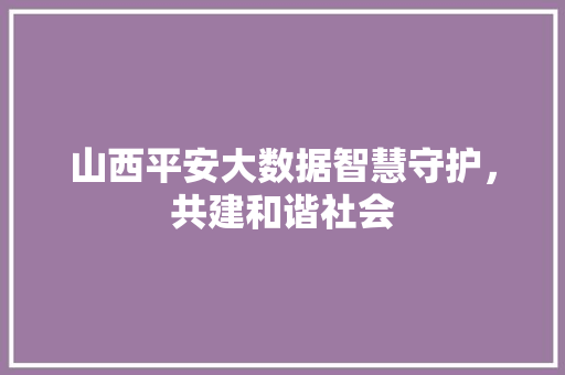 山西平安大数据智慧守护，共建和谐社会
