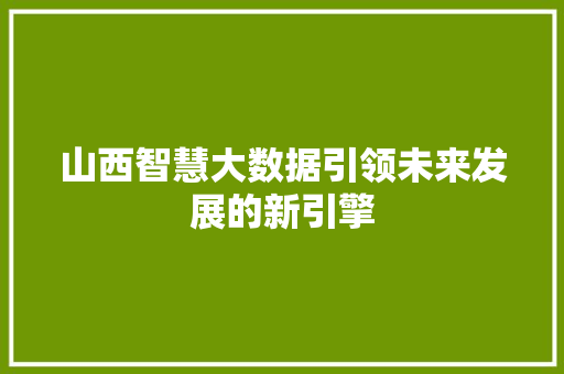 山西智慧大数据引领未来发展的新引擎