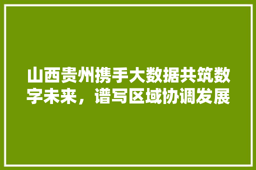 山西贵州携手大数据共筑数字未来，谱写区域协调发展新篇章