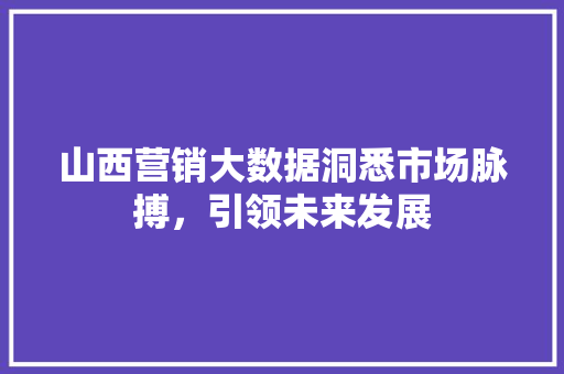 山西营销大数据洞悉市场脉搏，引领未来发展