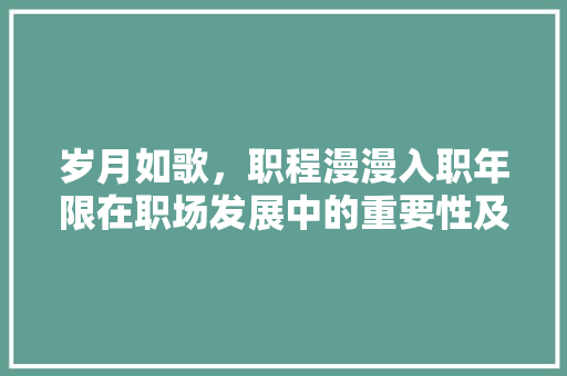 岁月如歌，职程漫漫入职年限在职场发展中的重要性及应对步骤