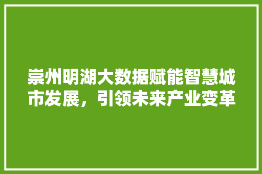 崇州明湖大数据赋能智慧城市发展，引领未来产业变革