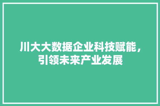 川大大数据企业科技赋能，引领未来产业发展
