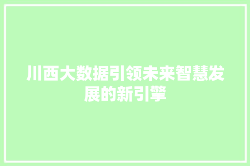 川西大数据引领未来智慧发展的新引擎