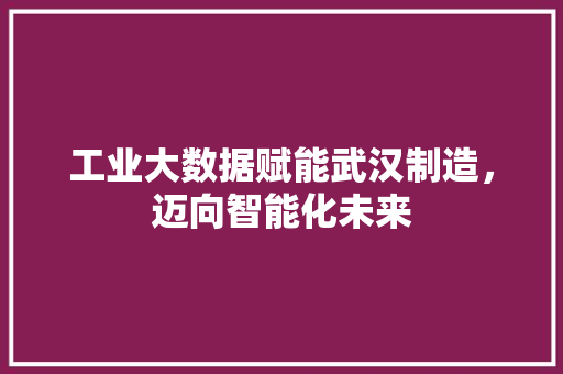 工业大数据赋能武汉制造，迈向智能化未来