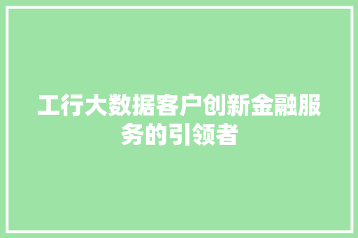工行大数据客户创新金融服务的引领者