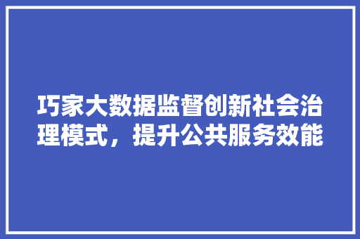 巧家大数据监督创新社会治理模式，提升公共服务效能