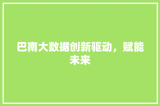 巴南大数据创新驱动，赋能未来