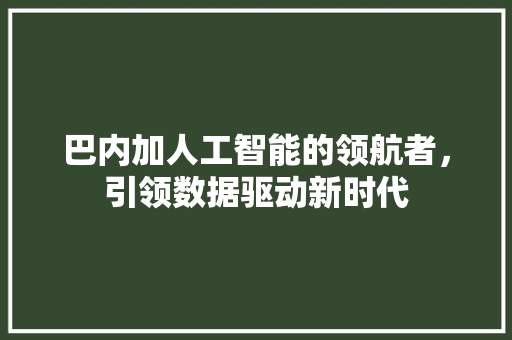 巴内加人工智能的领航者，引领数据驱动新时代