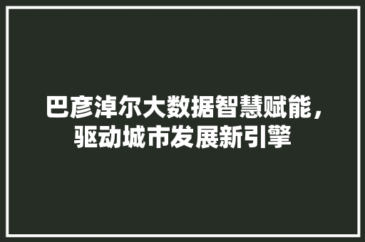 巴彦淖尔大数据智慧赋能，驱动城市发展新引擎