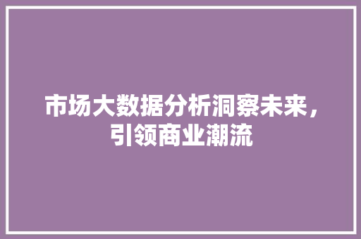 市场大数据分析洞察未来，引领商业潮流