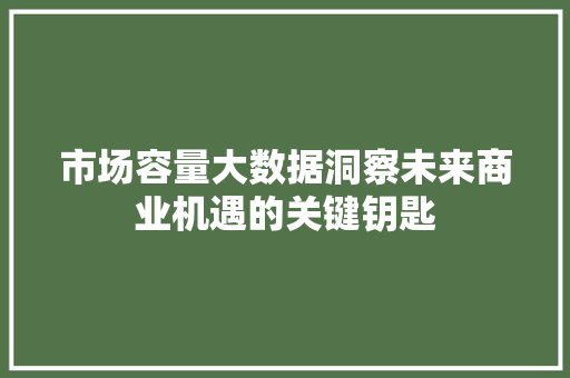 市场容量大数据洞察未来商业机遇的关键钥匙