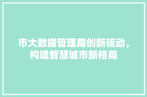 市大数据管理局创新驱动，构建智慧城市新格局