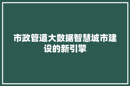 市政管道大数据智慧城市建设的新引擎