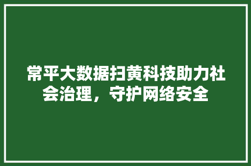 常平大数据扫黄科技助力社会治理，守护网络安全