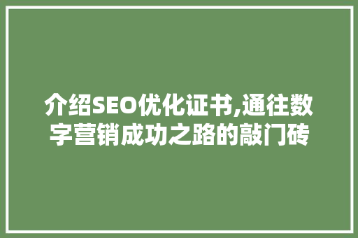 介绍SEO优化证书,通往数字营销成功之路的敲门砖 项目报告