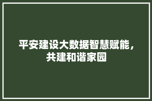 平安建设大数据智慧赋能，共建和谐家园