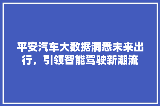 平安汽车大数据洞悉未来出行，引领智能驾驶新潮流
