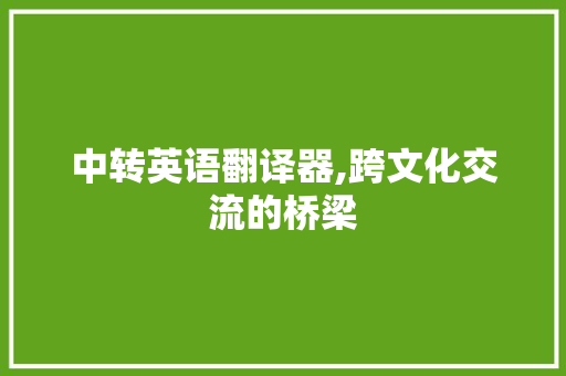 中转英语翻译器,跨文化交流的桥梁 项目报告