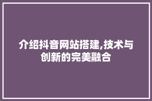 介绍抖音网站搭建,技术与创新的完美融合 网站建设