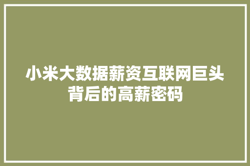 小米大数据薪资互联网巨头背后的高薪密码