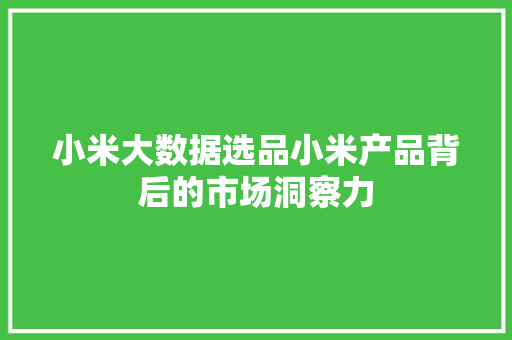 小米大数据选品小米产品背后的市场洞察力
