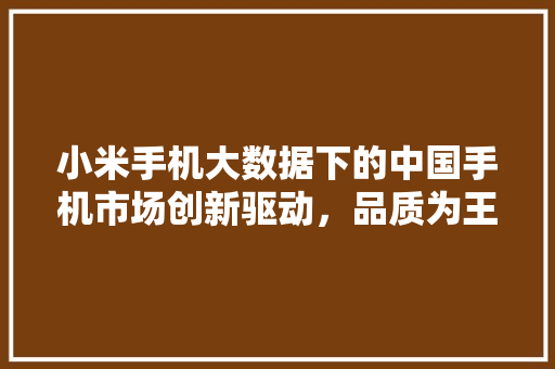 小米手机大数据下的中国手机市场创新驱动，品质为王