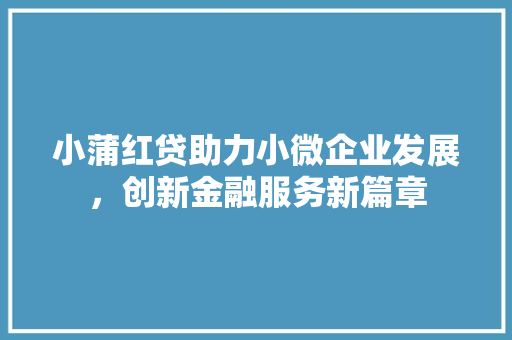 小蒲红贷助力小微企业发展，创新金融服务新篇章