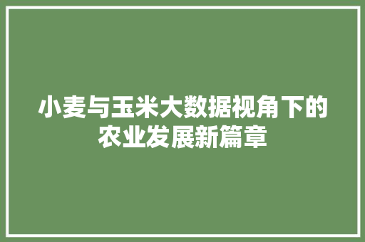小麦与玉米大数据视角下的农业发展新篇章