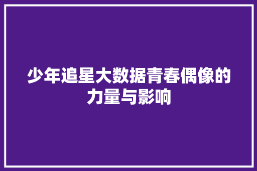 少年追星大数据青春偶像的力量与影响
