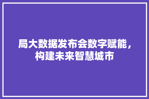 局大数据发布会数字赋能，构建未来智慧城市