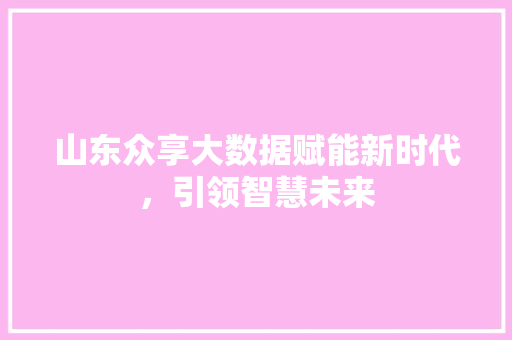 山东众享大数据赋能新时代，引领智慧未来
