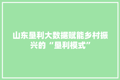 山东垦利大数据赋能乡村振兴的“垦利模式”