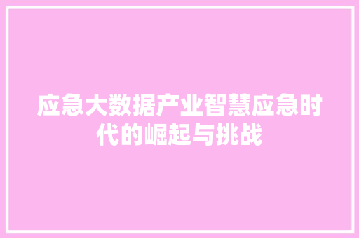 应急大数据产业智慧应急时代的崛起与挑战
