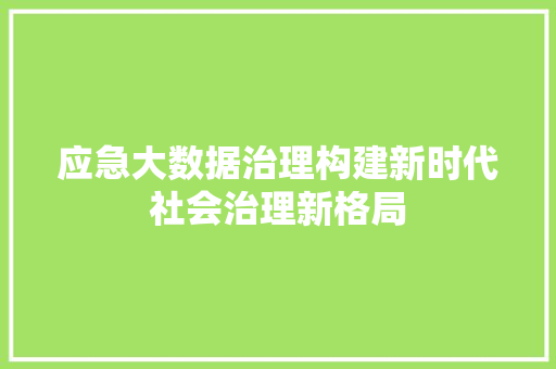 应急大数据治理构建新时代社会治理新格局