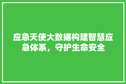 应急天使大数据构建智慧应急体系，守护生命安全