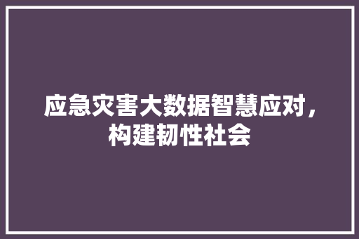 应急灾害大数据智慧应对，构建韧性社会