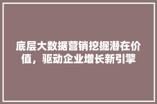 底层大数据营销挖掘潜在价值，驱动企业增长新引擎